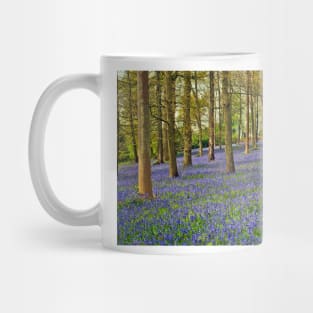 Bluebells Bluebell Woods Greys Court Oxfordshire UK Mug
